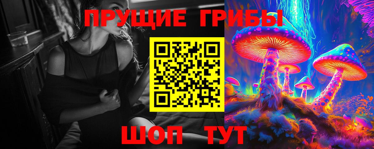 Кириши  где купить наркоту  Вход с VPN  Псилоцибиновые грибы Magic Shrooms 